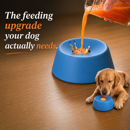 TopTails SpinBowl™ Spinning Dog Bowl - Slow Feeder for Liquid Treats